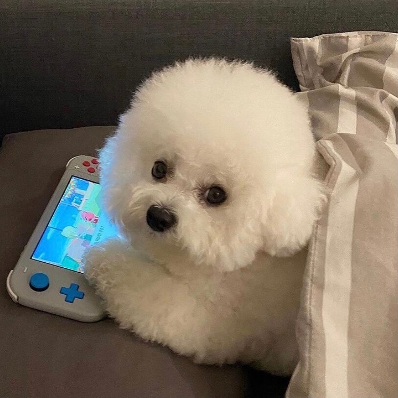 明日方舟豆瓣评分为什么这么高